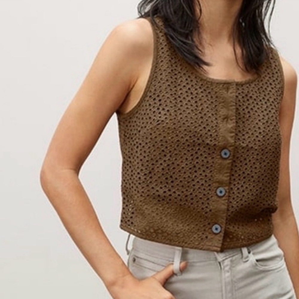 Everlane walnut brown eyelet cropped Top